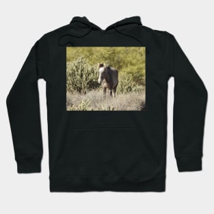 Wild horses, wildlife, gifts, Arizona, Wild and Free Hoodie